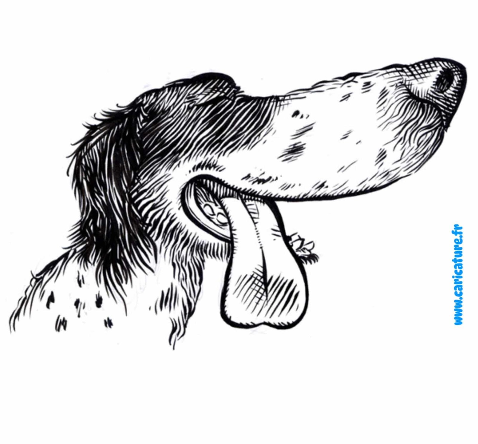 Funny Dog Cartoon